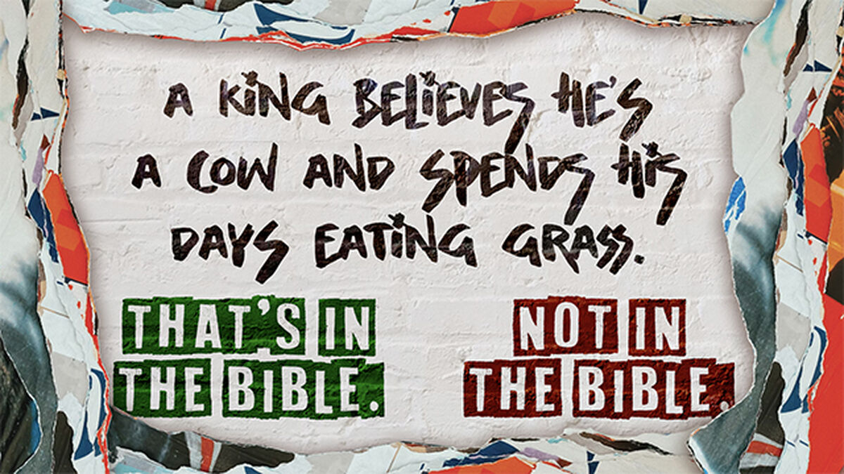 That's In The Bible!? image number null